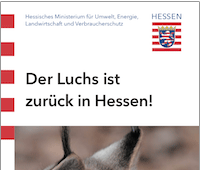 Faltblatt-Titel „Der Luchs ist zurück in Hessen!“