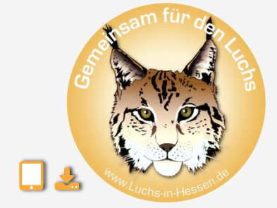 Hessischer Luchsbericht 2024 erschienen