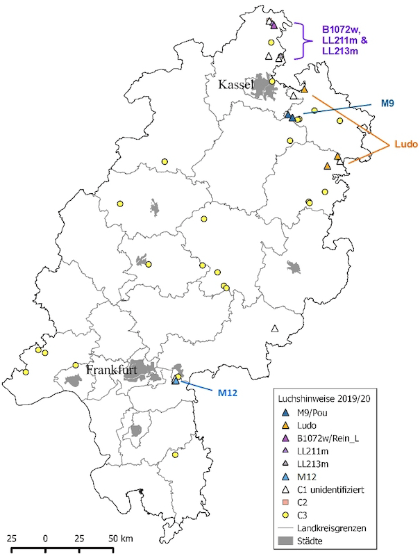 Karte hessischer Luchshinweise aus dem Zeitraum 01.05.2019 – 30.04.2020 Karte hessischer Luchshinweise aus dem Zeitraum 01.05.2019 – 30.04.2020