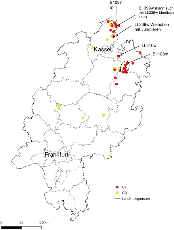 Karte hessischer Luchshinweise aus dem Zeitraum 01.05.2023 – 30.04.2024 Karte hessischer Luchshinweise aus dem Zeitraum 01.05.2023 – 30.04.2024